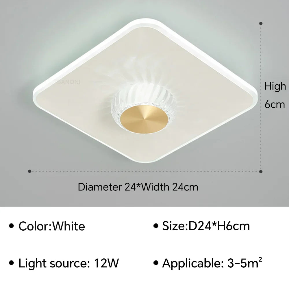 QW101 Modern LED Aisle Ceiling Lamp Chandelier