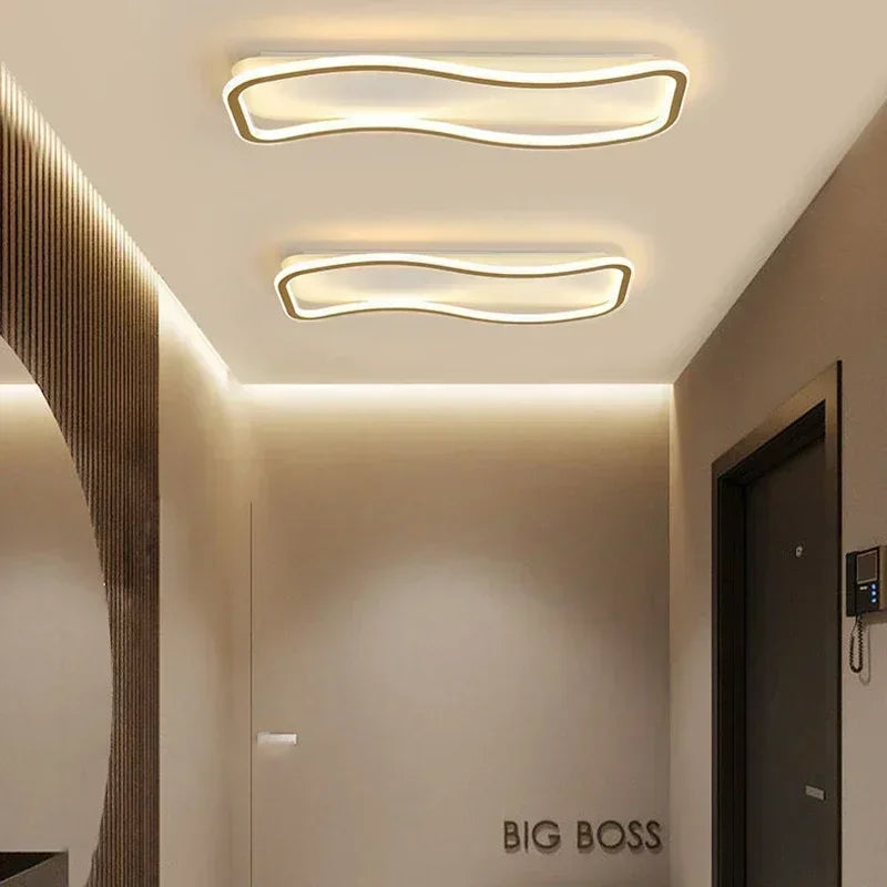 Q10 Modern LED Ceiling Light