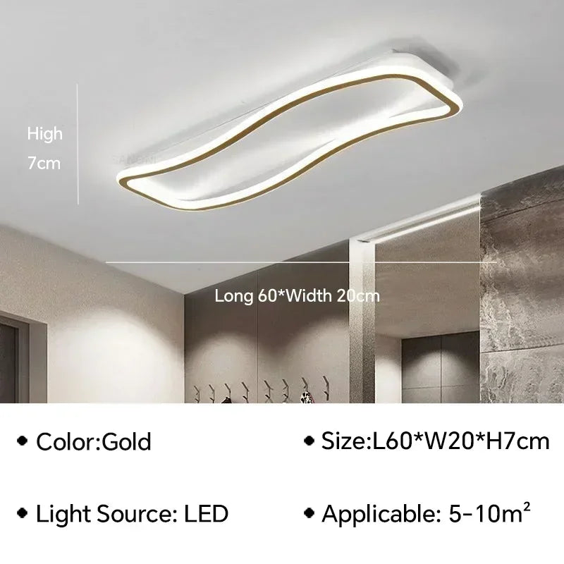 Q10 Modern LED Ceiling Light