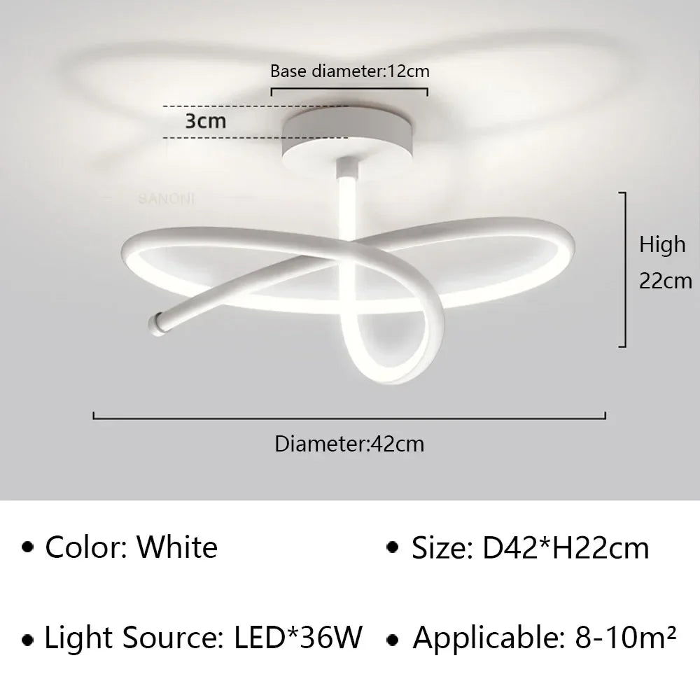 W1001 Modern LED Ceiling Light