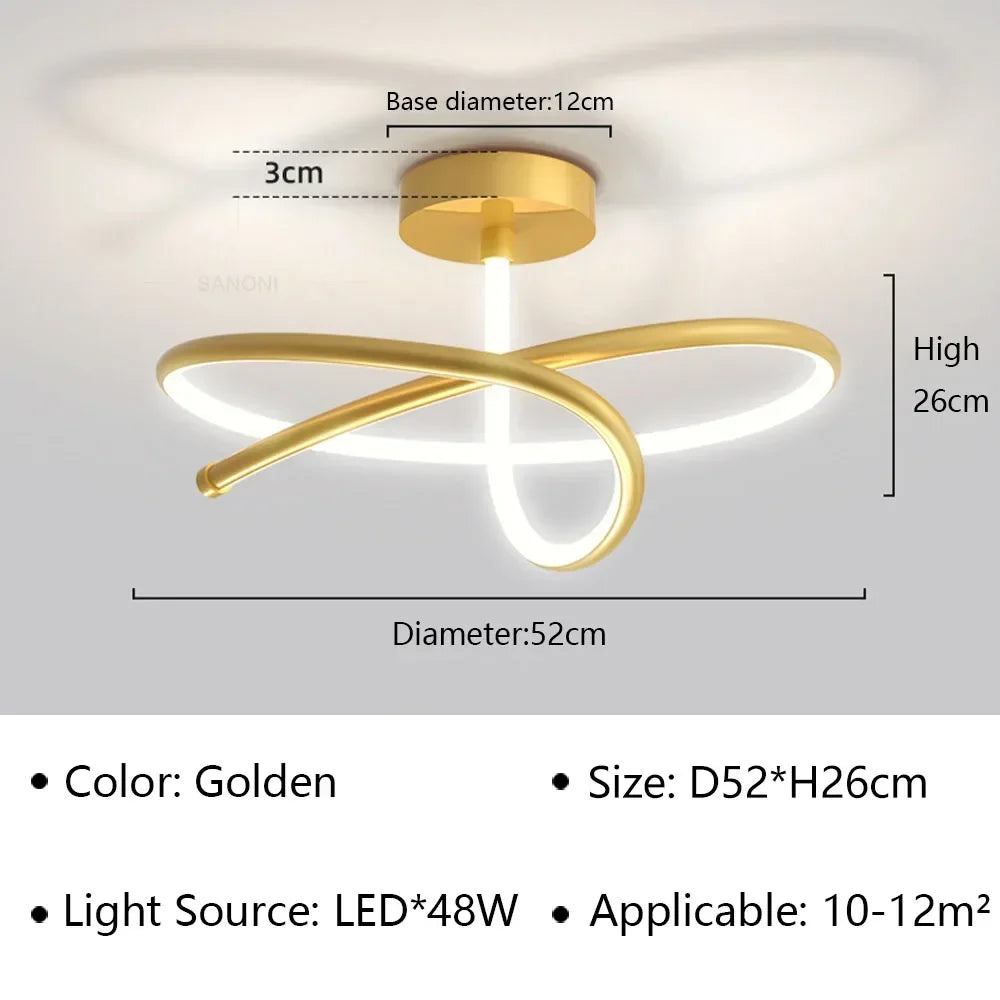 W1001 Modern LED Ceiling Light