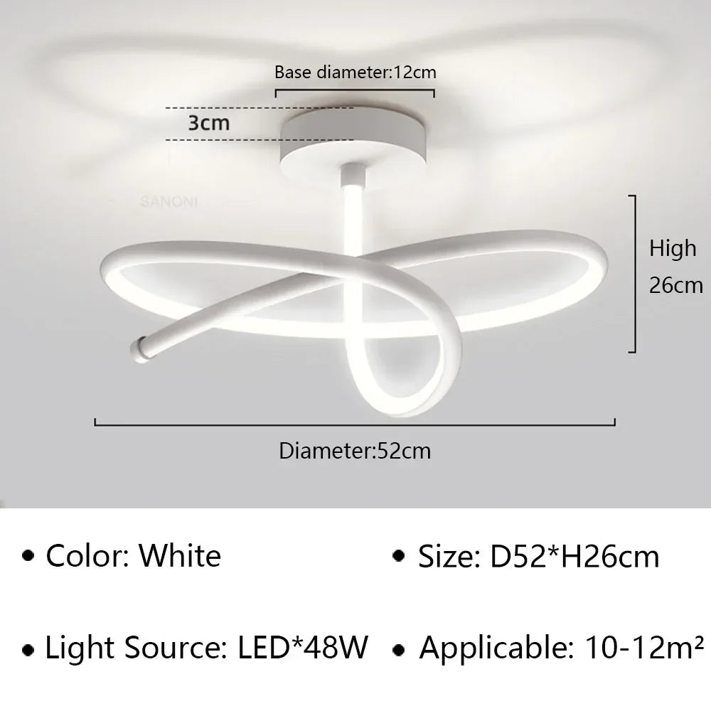 W1001 Modern LED Ceiling Light