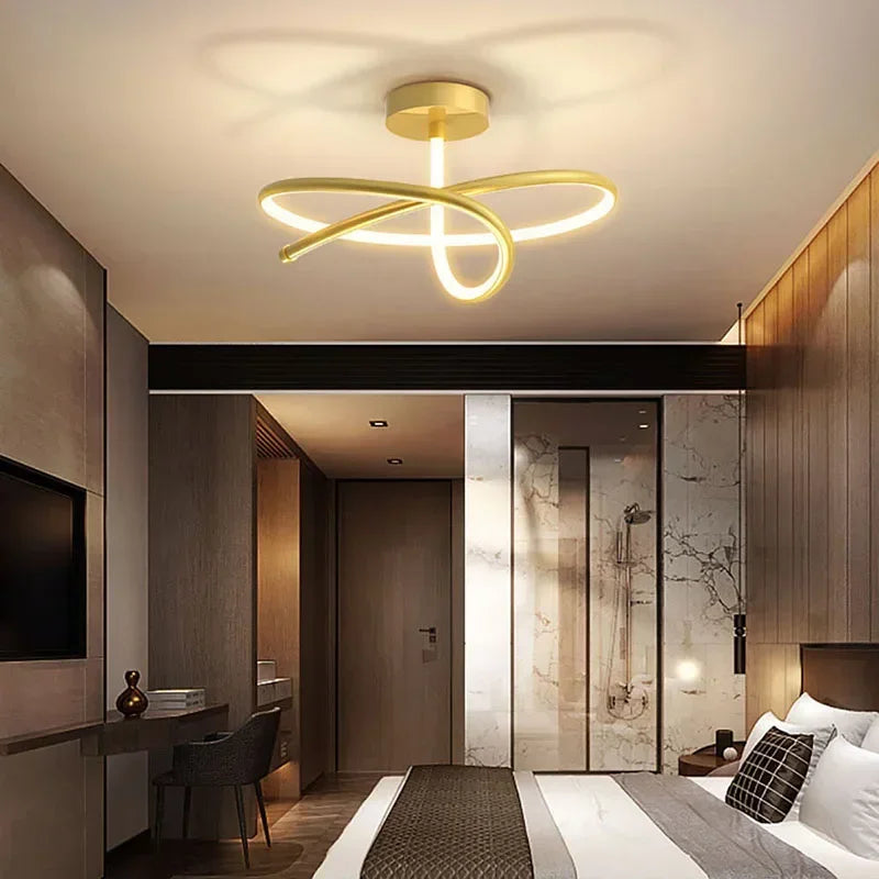 W1001 Modern LED Ceiling Light
