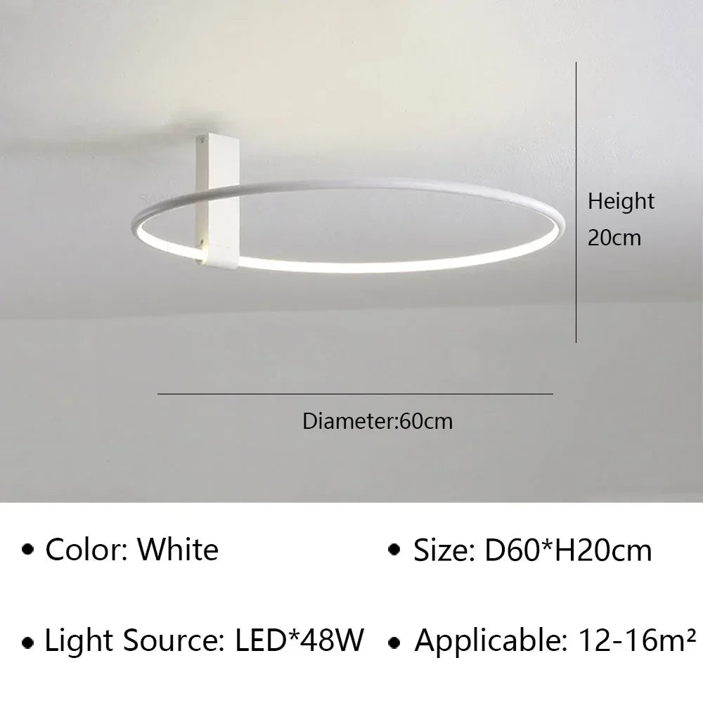 Modern LED Ceiling Light Fixture Luster