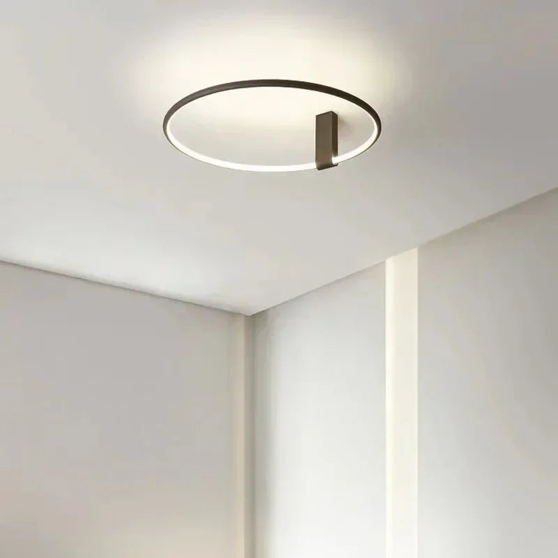 Modern LED Ceiling Light Fixture Luster