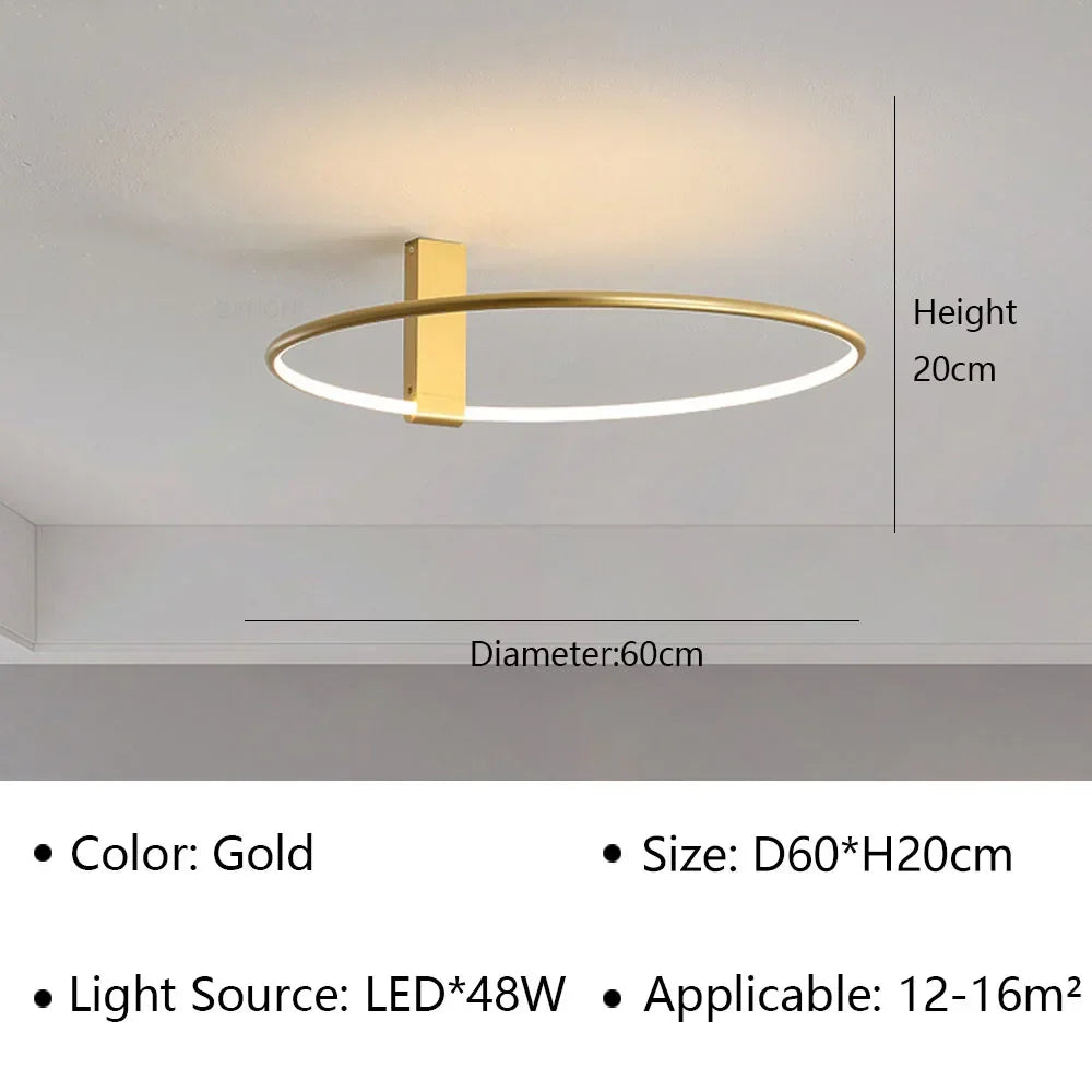 Modern LED Ceiling Light Fixture Luster
