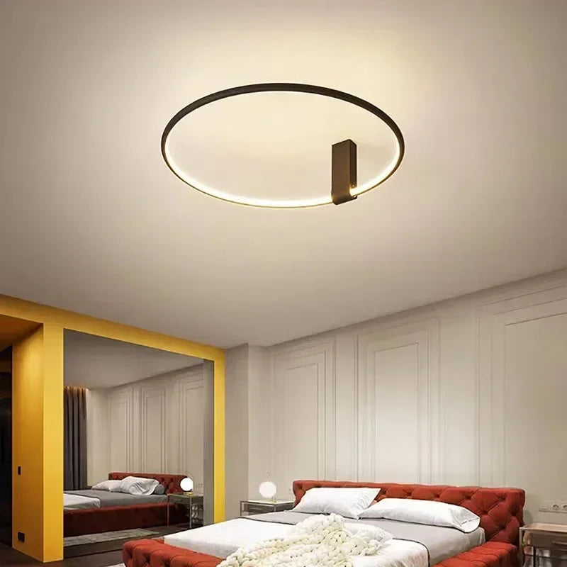 Modern LED Ceiling Light Fixture Luster