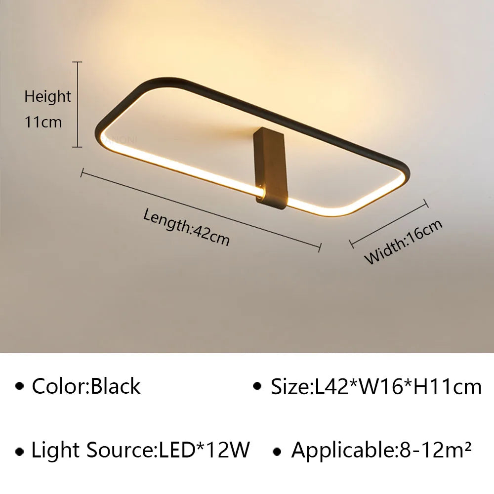 Modern LED Ceiling Light Fixture Luster