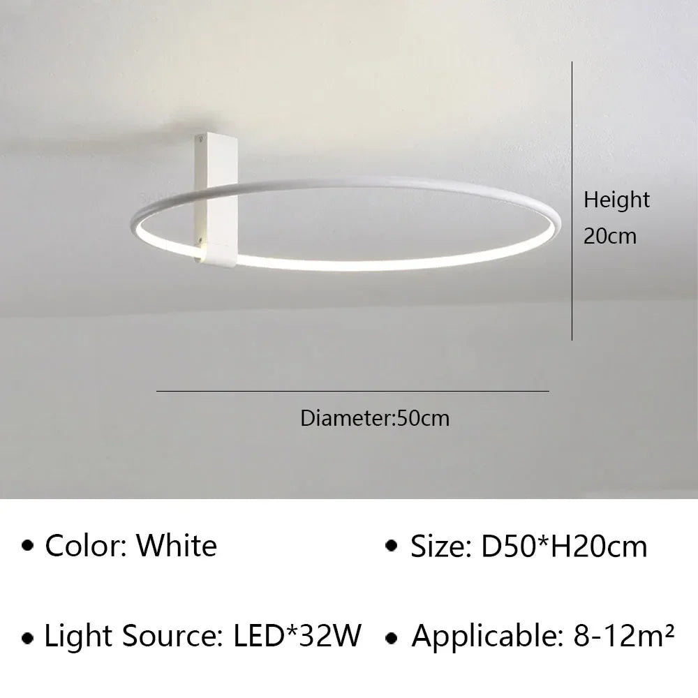 Modern LED Ceiling Light Fixture Luster