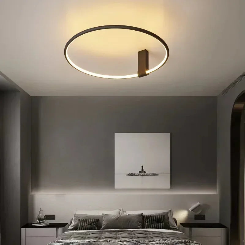 Modern LED Ceiling Light Fixture Luster