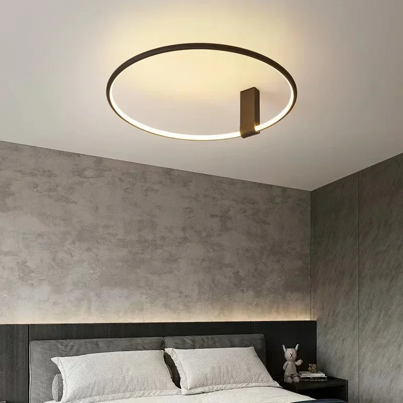 Modern LED Ceiling Light Fixture Luster