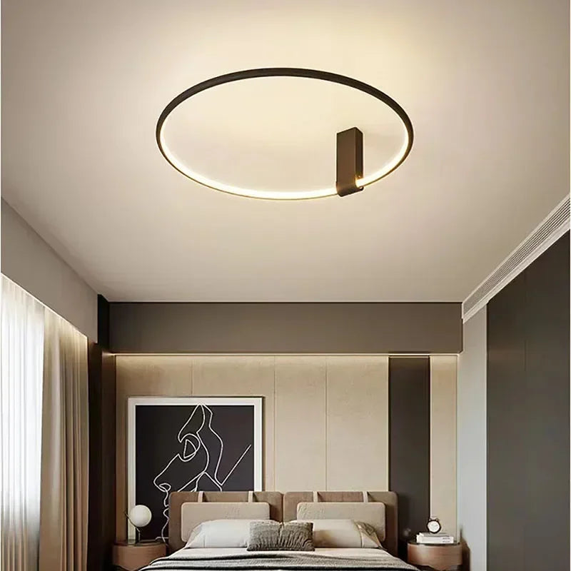 Modern LED Ceiling Light Fixture Luster