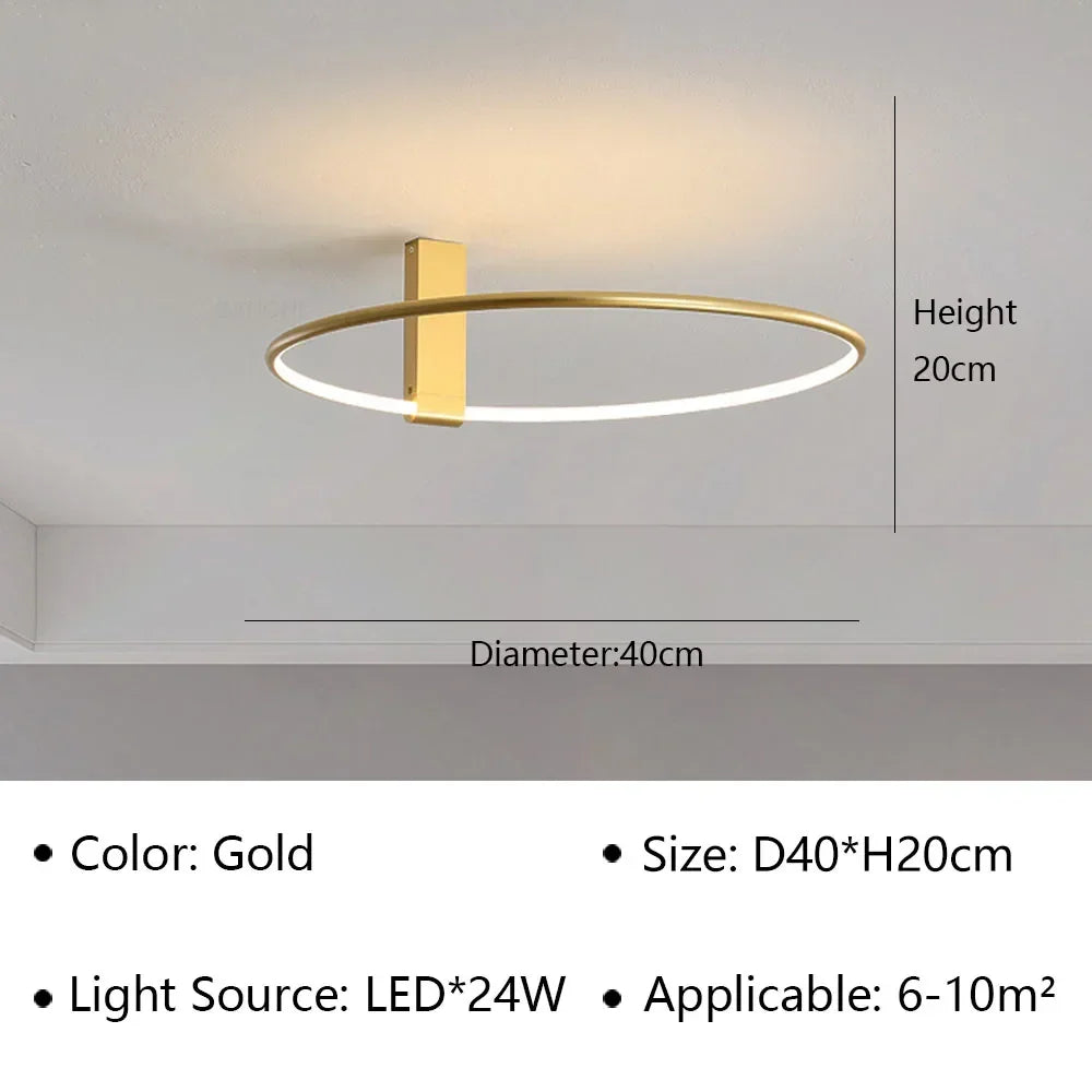 Modern LED Ceiling Light Fixture Luster
