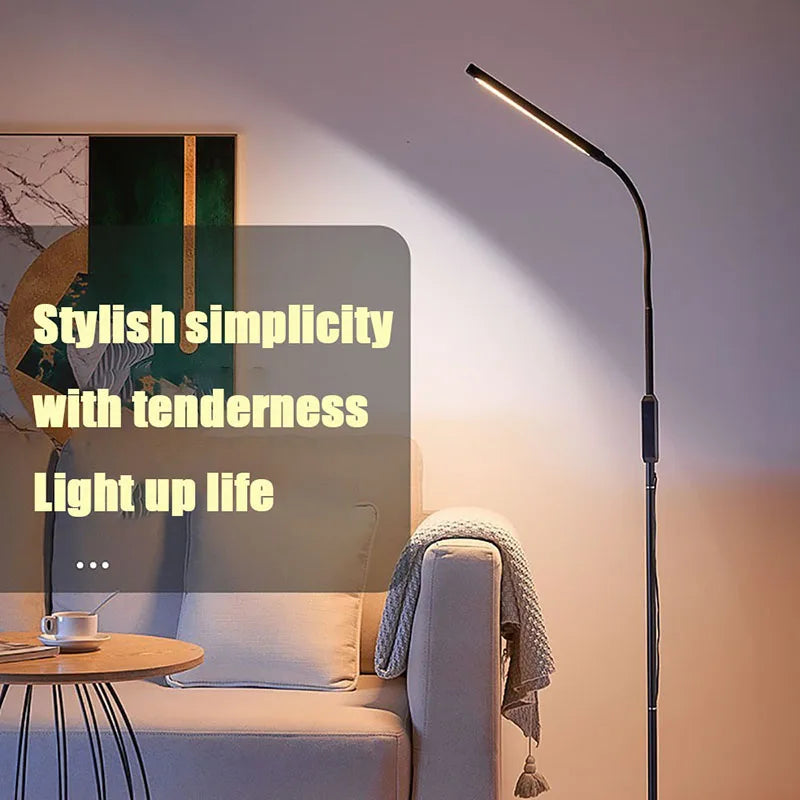 Q5 Modern LED Floor Lamp