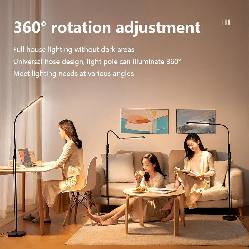 Q5 Modern LED Floor Lamp