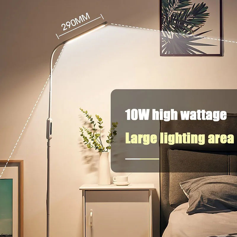 Q5 Modern LED Floor Lamp